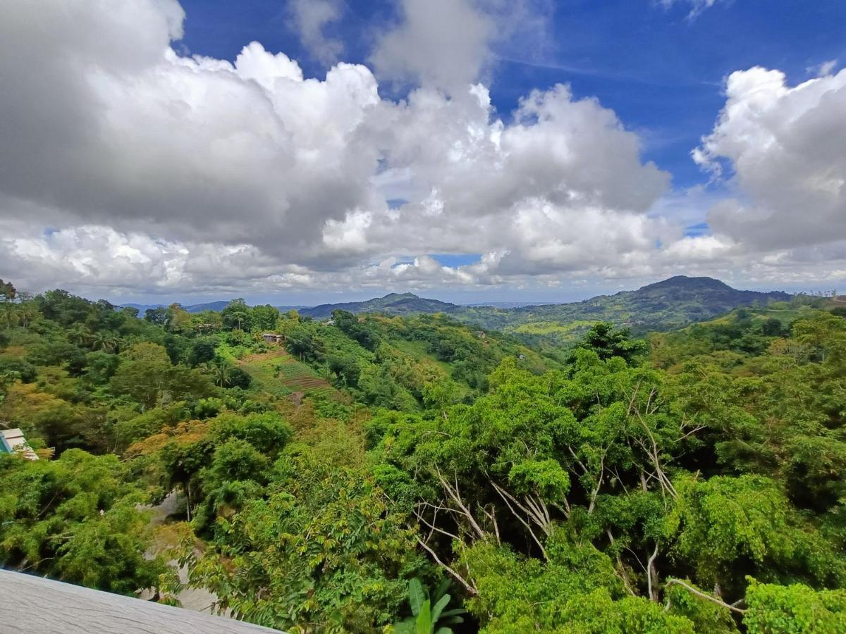 Mist Mountain Resort Powered By Cocotel Cebu Exteriör bild