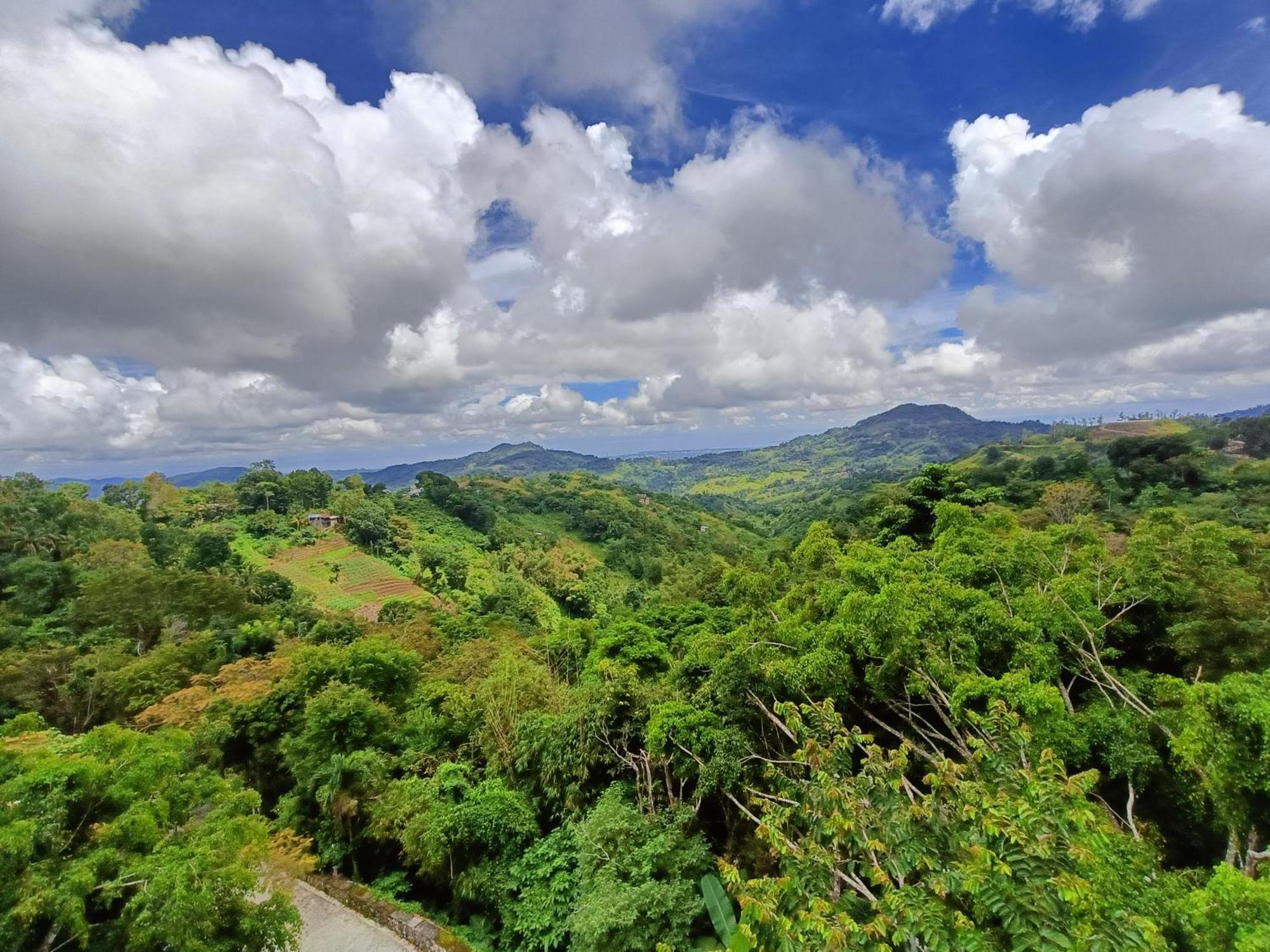 Mist Mountain Resort Powered By Cocotel Cebu Exteriör bild